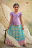 Sky blue Golden Clip Traditional Pattu Pavadai Sets