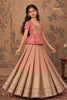 Peach Pastel SpringTraditional Pattu Pavadai Sets