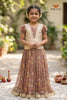 Brown Digital Crush Traditional Pattu Pavadai Sets