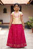 Pink Silver Parrot Traditional Pattu Pavadai Sets