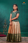Sandal Golden Annam EMB Traditional Pattu Pavadai Set