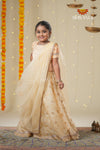 Festive Collection -SandalOrganza Maize Lehenga !!!