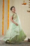 Festive Collection - Green Organza Maize Lehenga !!!