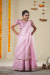 Festive Collection - Pink Organza Maize Lehenga !!!