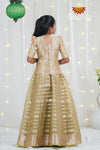 Parrot Green Metallic Crush Traditional Pattu Pavadai For Girls !!!