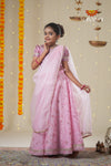 Festive Collection - Pink Organza Maize Lehenga !!!