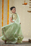 Festive Collection - Green Organza Maize Lehenga !!!