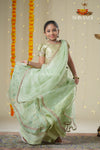 Festive Collection - Green Organza Maize Lehenga !!!