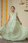 Festive Collection - Green Organza Maize Lehenga !!!