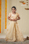 Festive Collection -SandalOrganza Maize Lehenga !!!