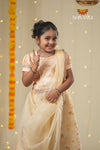 Festive Collection -SandalOrganza Maize Lehenga !!!