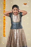 Grey Traditional Spiral Tree Pattu Pavadai