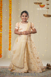 Festive Collection -SandalOrganza Maize Lehenga !!!