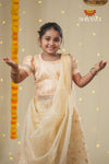 Festive Collection -SandalOrganza Maize Lehenga !!!