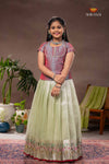 Green Pink Parrot Traditional Pattu Pavadai Set