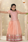 Peach Sliver Cow Traditional Pattu Pavadai Set for Girls