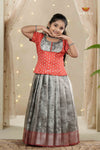Gray Wild Creeper Alpha Traditional Pattu Pavadai Set for Girls